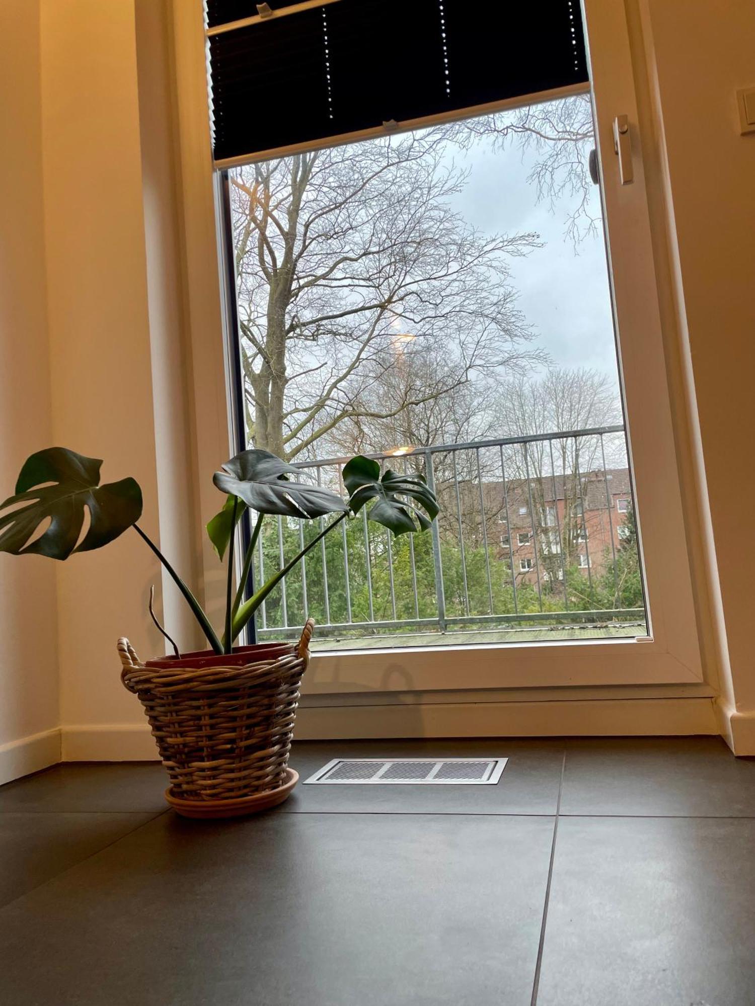 Modernes Holzhaus Im Skandinavischen Stil Mit Sauna, Garten Und 2 Katzen Norderstedt Extérieur photo